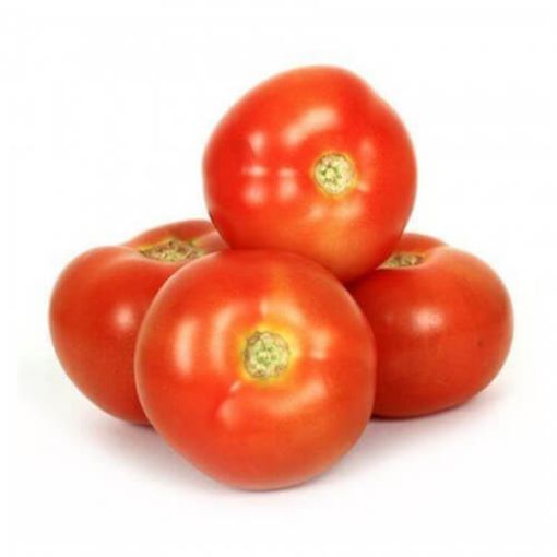 Picture of Amerse Tomato Large