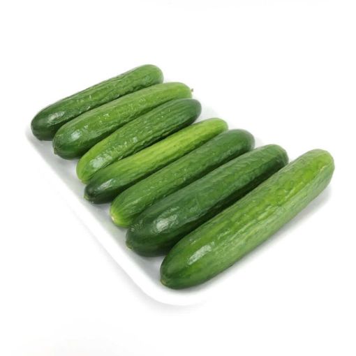 Picture of Eden Tree English Cucumber