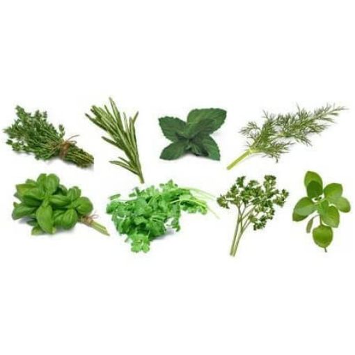 Picture of Eden Tree Herbs