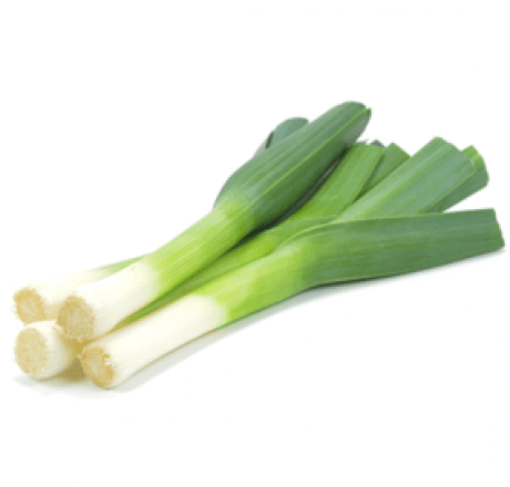 Picture of Eden Tree Leek