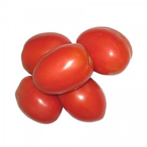 Picture of Eden Tree Tomato