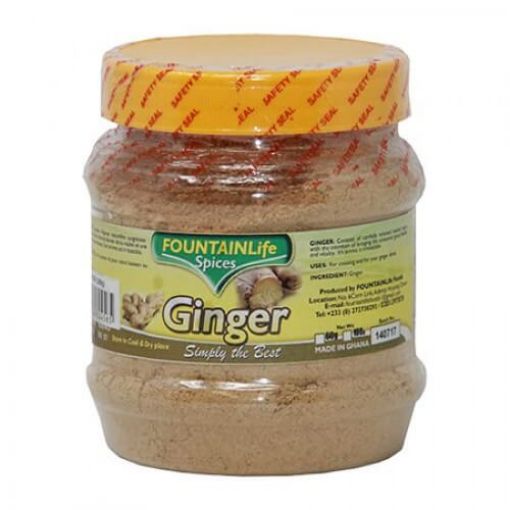 Picture of Fountain Life Ginger Spices 300g