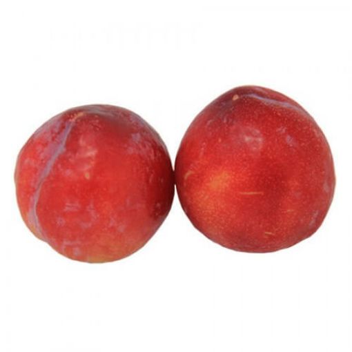 Picture of Greeny Red Plums Kg