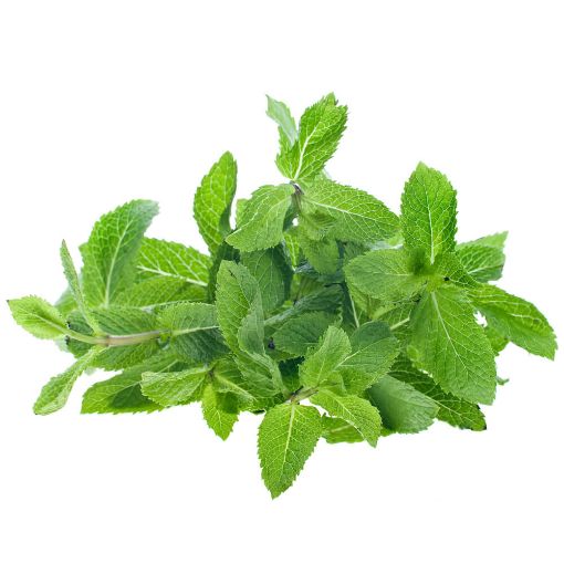 Picture of Akoves Mint Pack