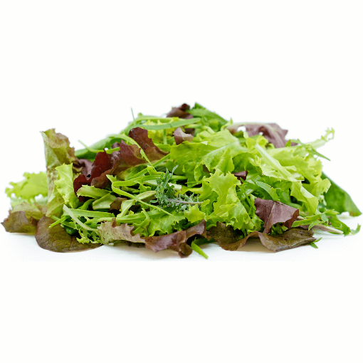 Picture of Alien Salad Mesclun 125g Pack