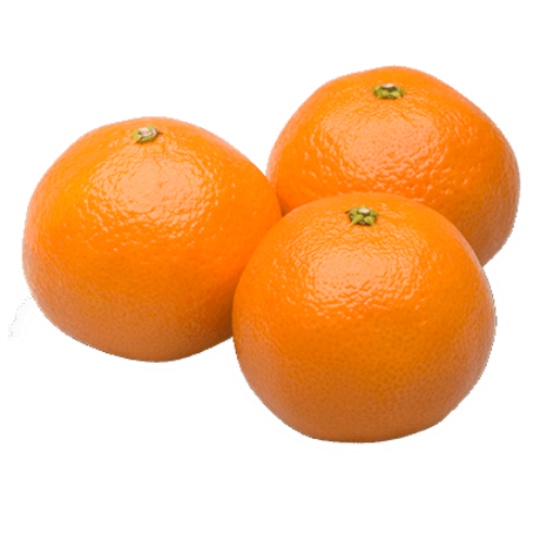 Picture of Eden Tree Orange Kg