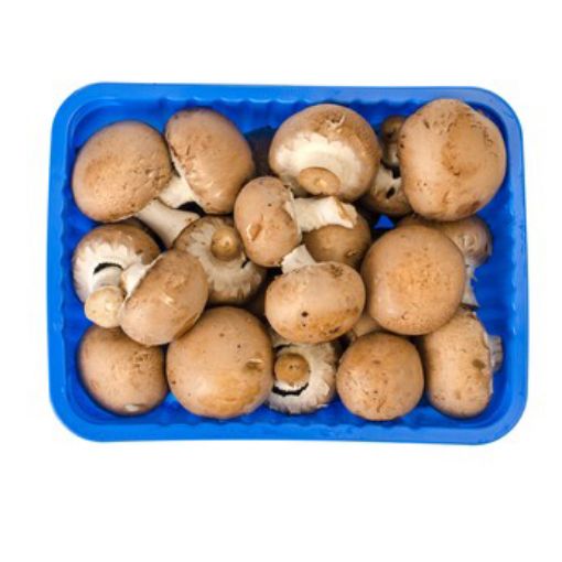 Picture of W.I.L Brown Mushroom