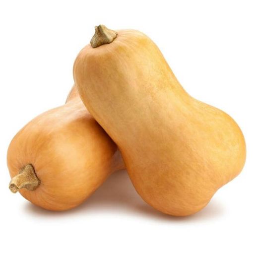 Picture of Akoves Butternut Squash Kg