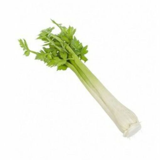 Picture of All Fruits & Vegetables Celery Stick Pc