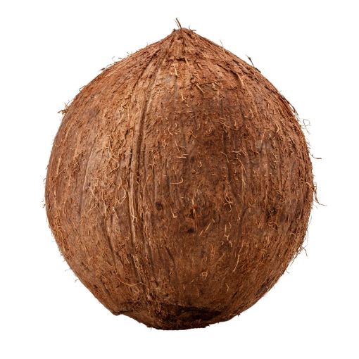 Picture of MaxMart Coconut (Pcs)