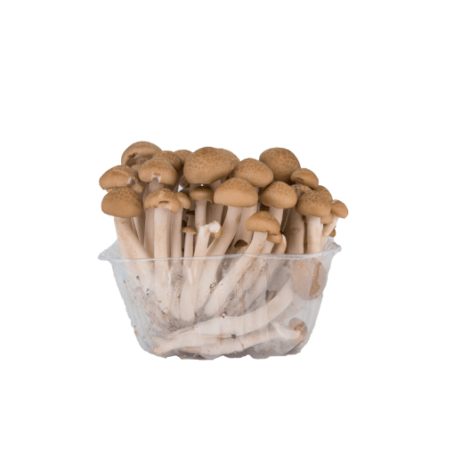 Picture of W.I.L Mushroom Shimeji Brown 150g