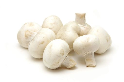 Picture of W I L White Mushroom Pkt