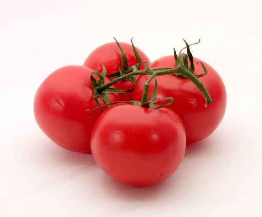 Picture of Greeny Tomatoes Medium Size Kg