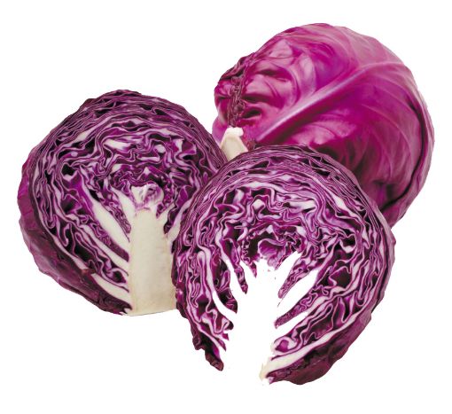 Picture of Alien Cabbage Red Kg
