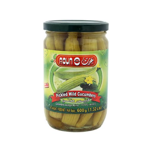 Picture of Aoun Pickled Wild Cucumbers 600g