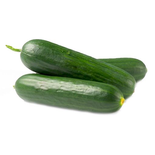 Picture of Eden Tree Cucumber XL