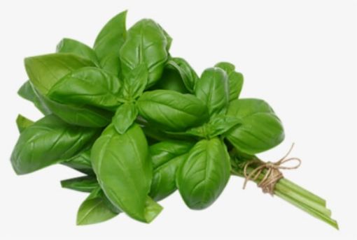 Picture of Malom Lemon Basil Pkts