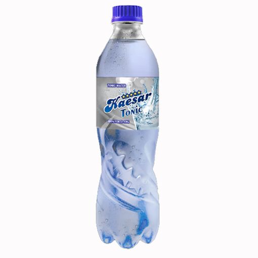 Picture of Kaesar Tonic Water 350ml