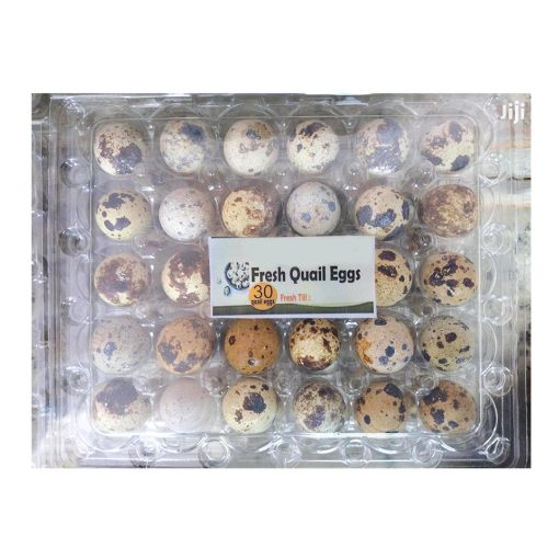 Picture of Quail Masters Egg Pack