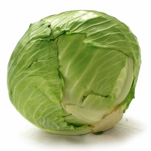 Picture of Eden Tree Cabbage pc size 10 