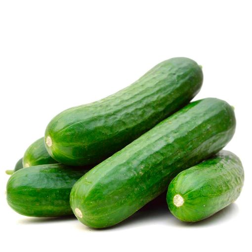 Picture of Ecoeden Cucumber Kg