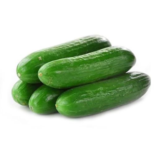 Picture of Sonfico Cucumber