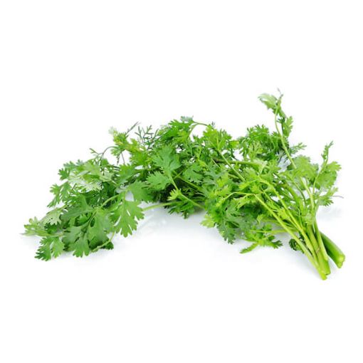 Picture of Five Star Coriander PKT