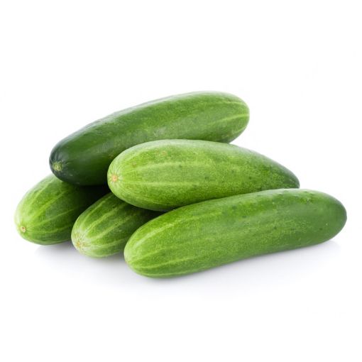 Picture of Adra Cucumber KG