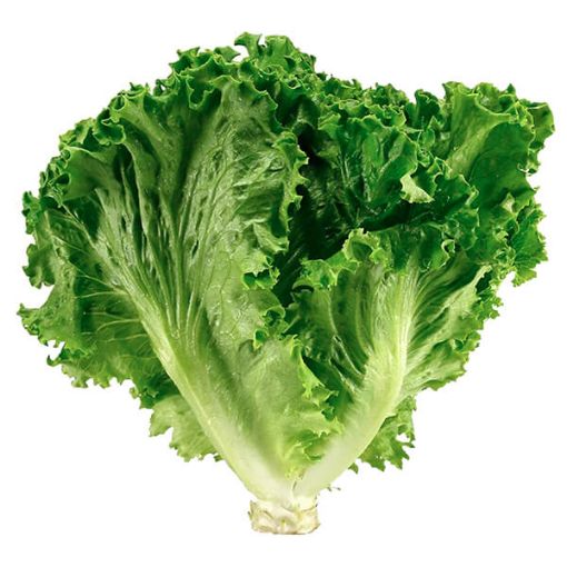 Picture of Malom Lettuce Pcs