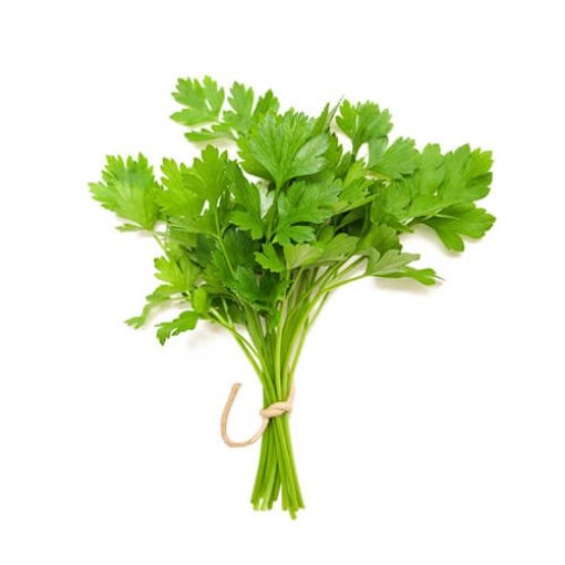 Picture of Sonfico Coriander