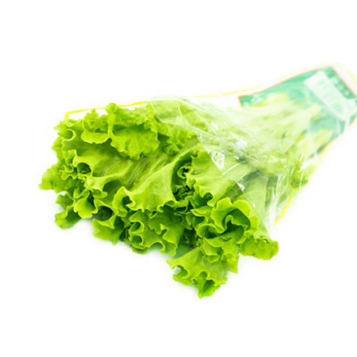 Picture of Ecoeden Lettuce Pkts