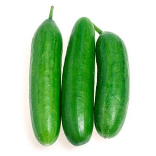 Picture of Five Star Cucumber Big Pkt