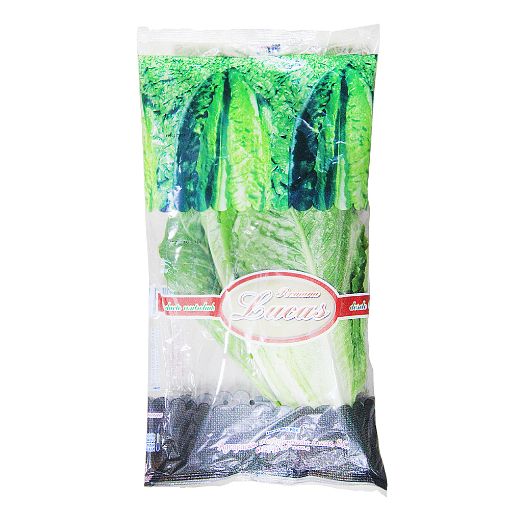 Picture of Maroon & Green Romaine Lettuce 200g