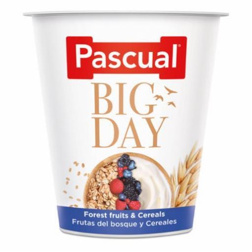 Picture of Pascual Big Day Yogurt Forest Fruits& Cereals 500g