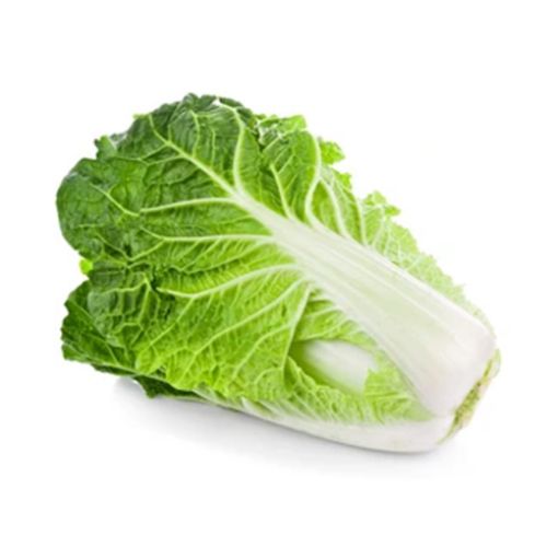 Picture of Traders Chinesse Cabbage Kg