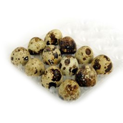 Picture of Anjuson Quail Egg