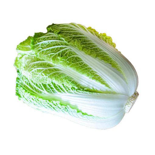 Picture of Eden Tree Chinese Cabbage (Xlrg)
