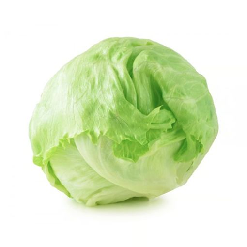 Picture of Trad Iceberg Salad 750g