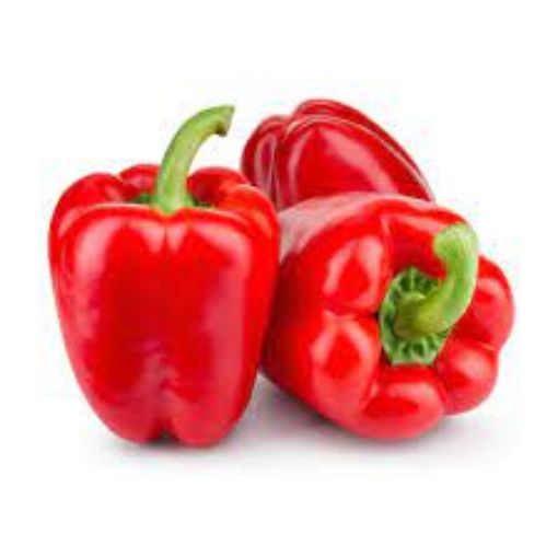 Picture of Eden Tree Bell Pepper GL Lrg.