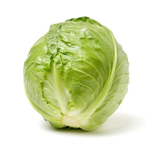 Picture of Eden Tree Cabbage (13)