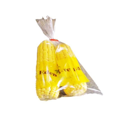 Picture of Eden Tree Sweet Corn