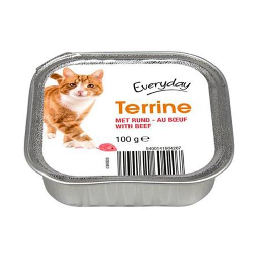 Picture of Everyday Cat Terrine Salmon 100g