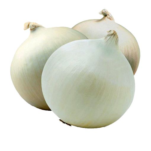 Picture of W.I.L Onion White Kg