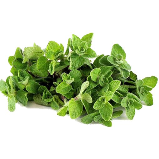 Picture of Greeny Zatar 100g