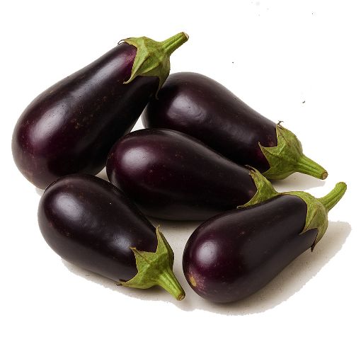 Picture of Agro Aubergine