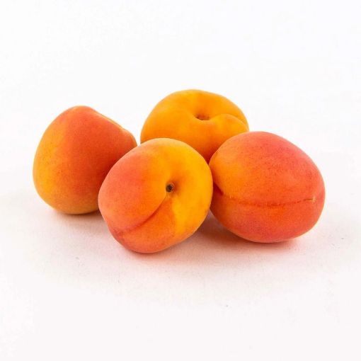 Picture of All Fruits & Veg. Apricot Kg