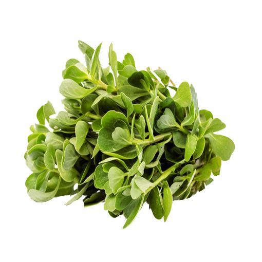 Picture of Greeny Bakleh Pcs