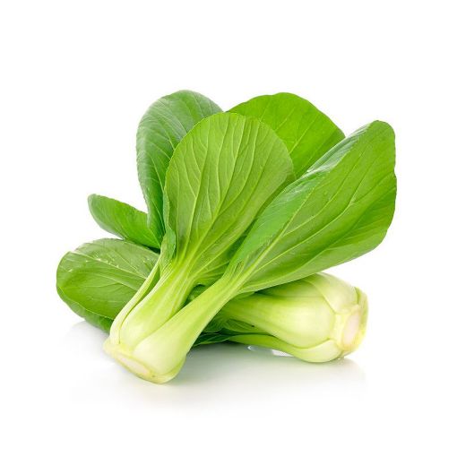 Picture of Malom Poi Choi