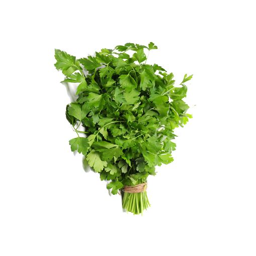 Picture of Olista Coriander Pcs