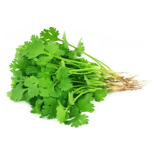 Picture of Maroon&Green Coriander 40g